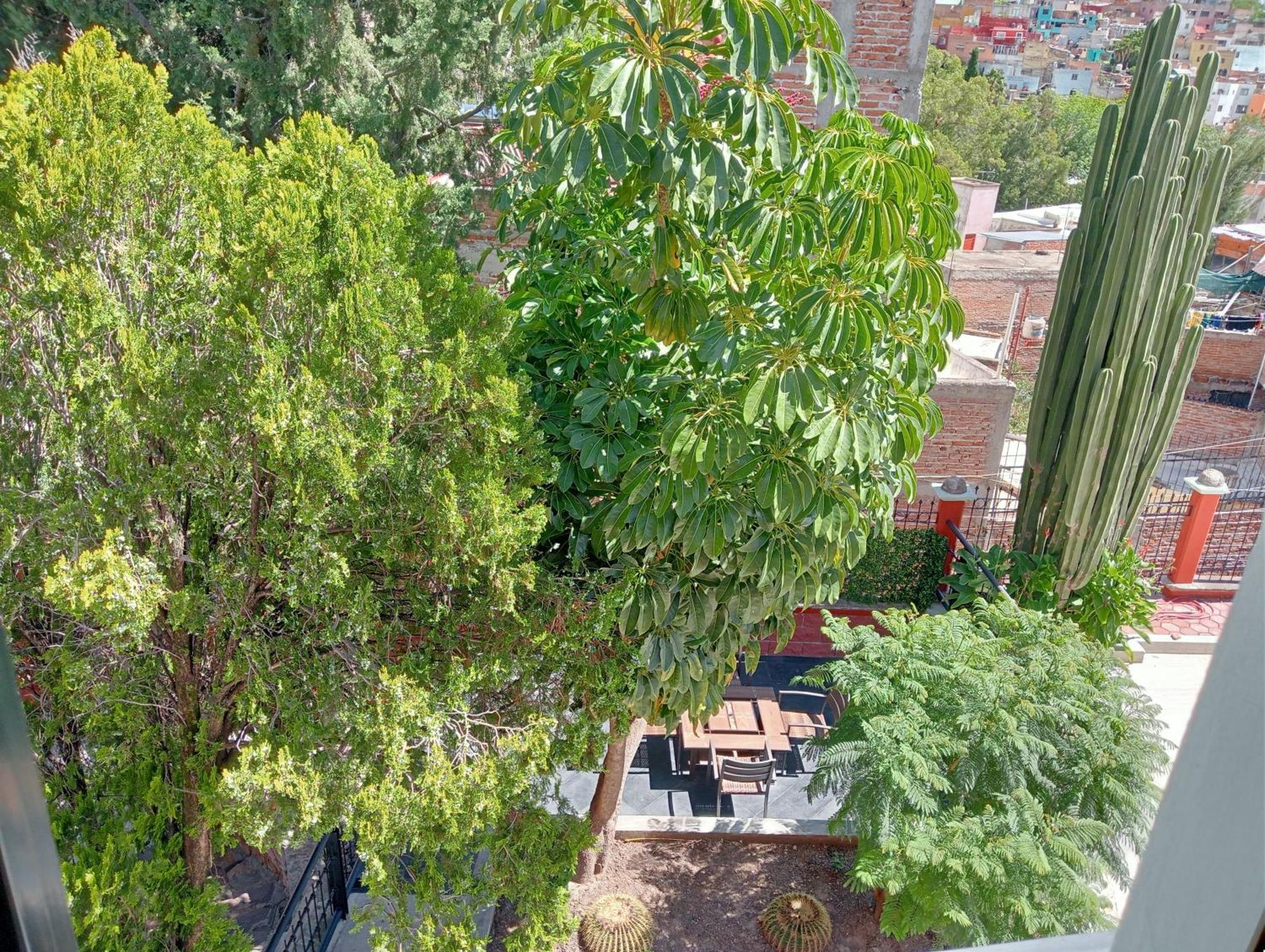 Quinta Mercedes Guanajuato Bagian luar foto