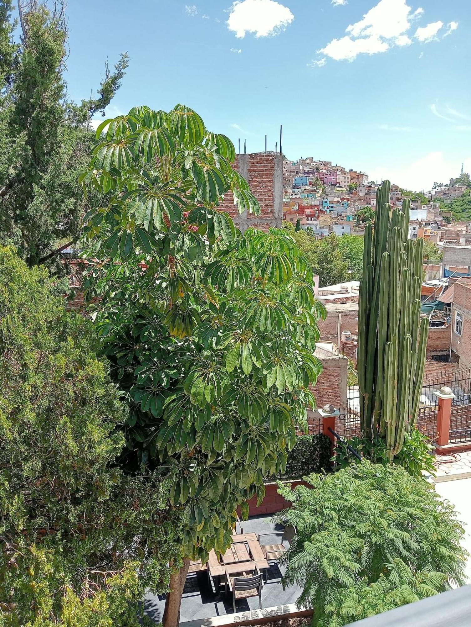 Quinta Mercedes Guanajuato Bagian luar foto